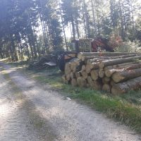 Holzrückearbeiten, Holzeinschlag, Durchforstung, Rodungen Bayern - Konzell Vorschau