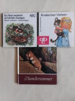 3x Kinderbücher DDR ABC-Bücher Hamstersommer Dresden - Pieschen Vorschau