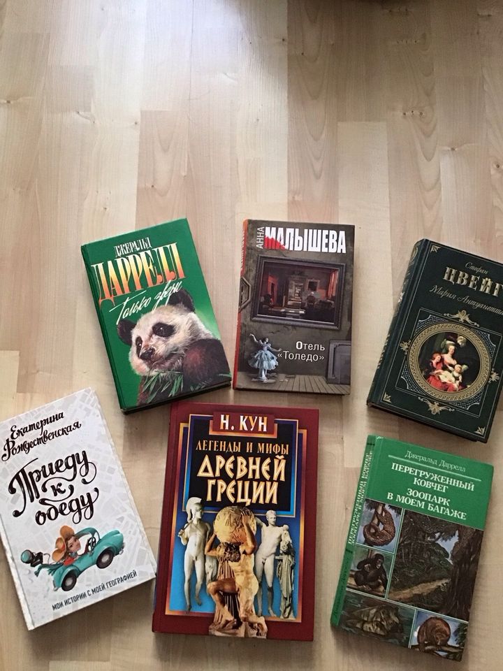 Russische Bücher in Schöneck