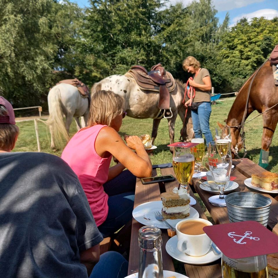 Westernreiten # Reitbeteiligung # Mithilfe #Syke in Weyhe