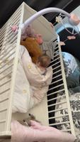 Ikea Kinderbett Kiel - Holtenau Vorschau