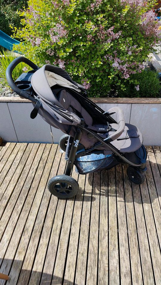 Joie Kinderbuggy in grau in Grasberg