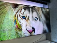 Philips 75Zoll 4K Smart TV mit defekt .Display ok Niedersachsen - Burgdorf Vorschau