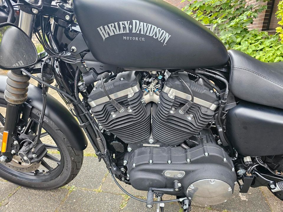 Harley Davidson Sportster XL 883 N Iron 971Km original in Herne