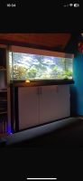 450l Aquarium mit Unterschrank Bayern - Krumbach Schwaben Vorschau