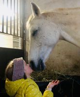 PONYCAMP im Reitverein Heidelberg - Wieblingen Baden-Württemberg - Heidelberg Vorschau