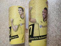 BVB Dortmund Becher, nur Becherpfand je 2 Euro, letzte Chance!! Baden-Württemberg - Mössingen Vorschau