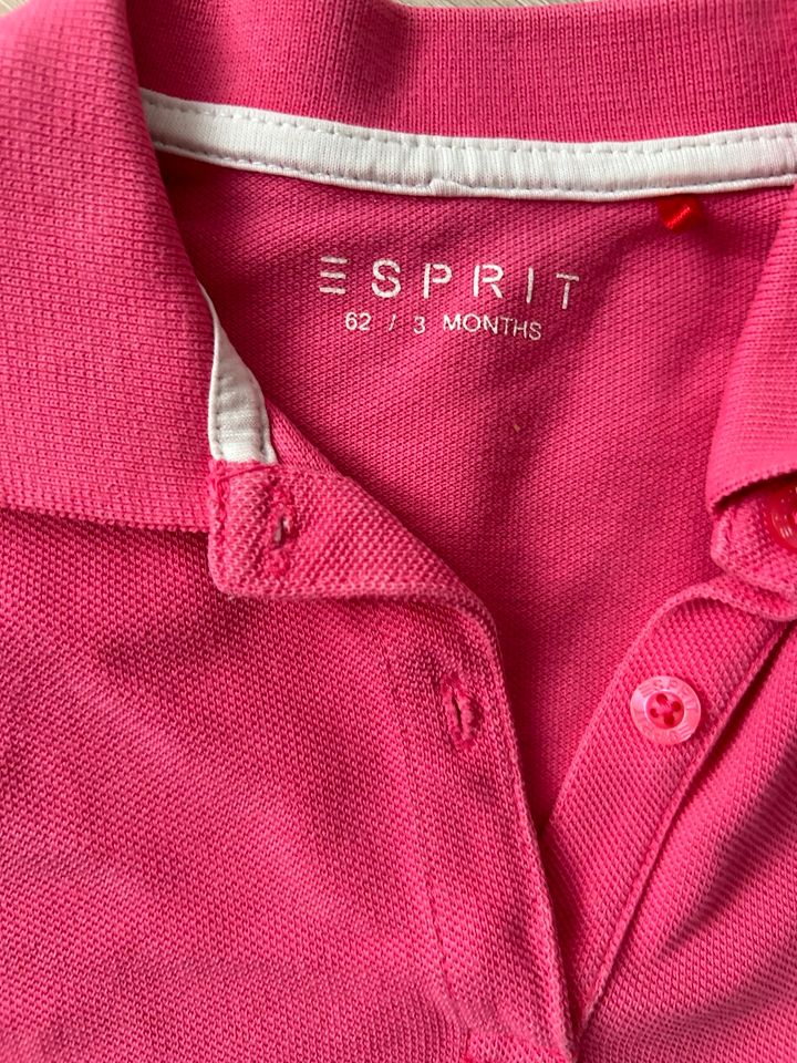 T-Shirt pink Esprit Gr 62 in Aindling
