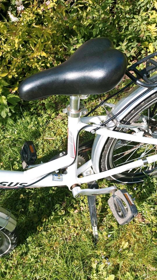 Pegasus 20 Zoll 3 Gang Alu Fahrrad Kinderfahrrad in Melle