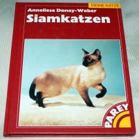 Siamkatzen Deine Katze Bayern - Kempten Vorschau