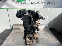 Motor AZJ VW Audi Seat Skoda 2,0 115PS 238Tkm Nordrhein-Westfalen - Wilnsdorf Vorschau