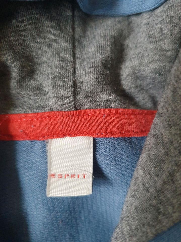 Pullover 140-146 von Esprit in München