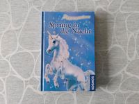 Buch/Fantasy/Kinderroman Sternenschweif 2 Sprung in die Nacht Hessen - Lohra Vorschau