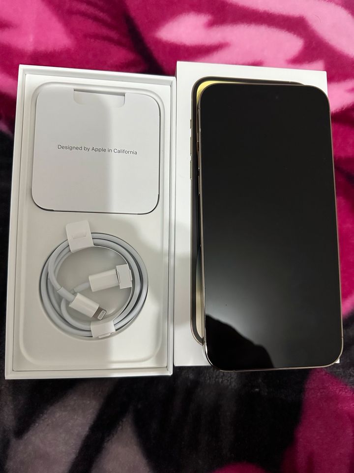 iPhone 14 Pro Max 128gb Gold 100% Akku wie NEU mit Apple Garantie in Datteln