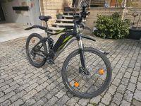 Prophete graveler e-bike Niedersachsen - Velpke Vorschau
