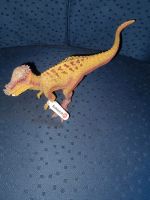 Schleich Pachycephalosaurus Niedersachsen - Barsinghausen Vorschau