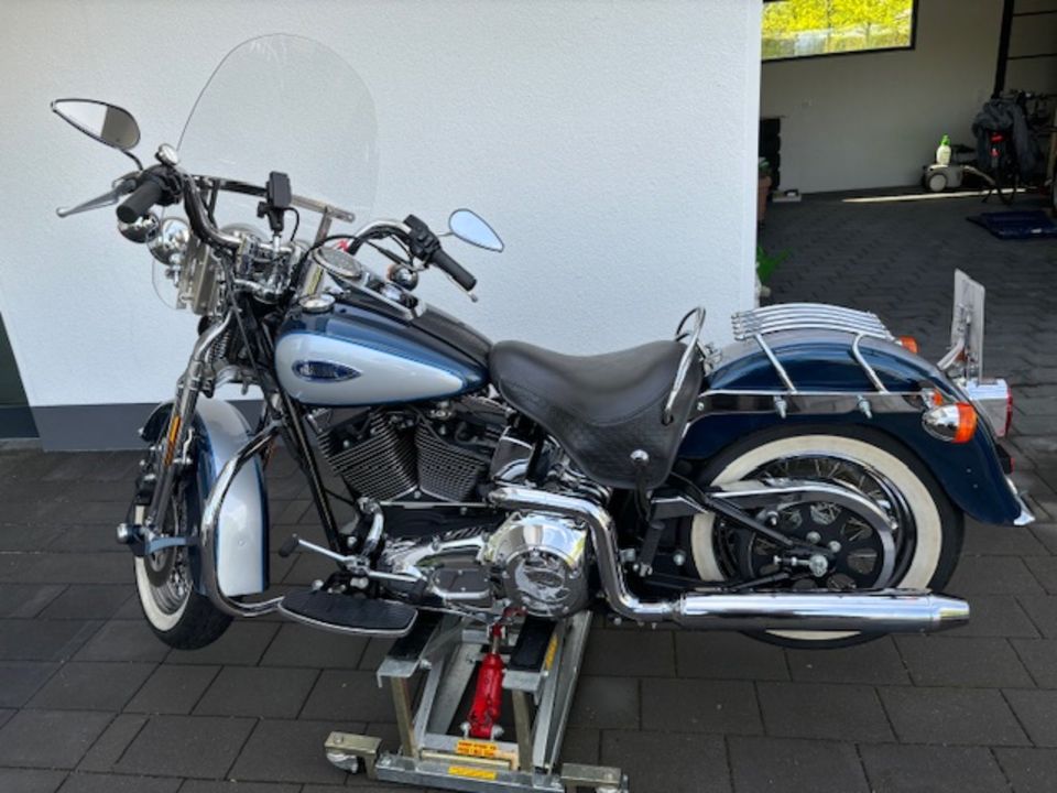 Harley Davidson HERITAGE SOFTAIL  SPRINGER in Möhnesee