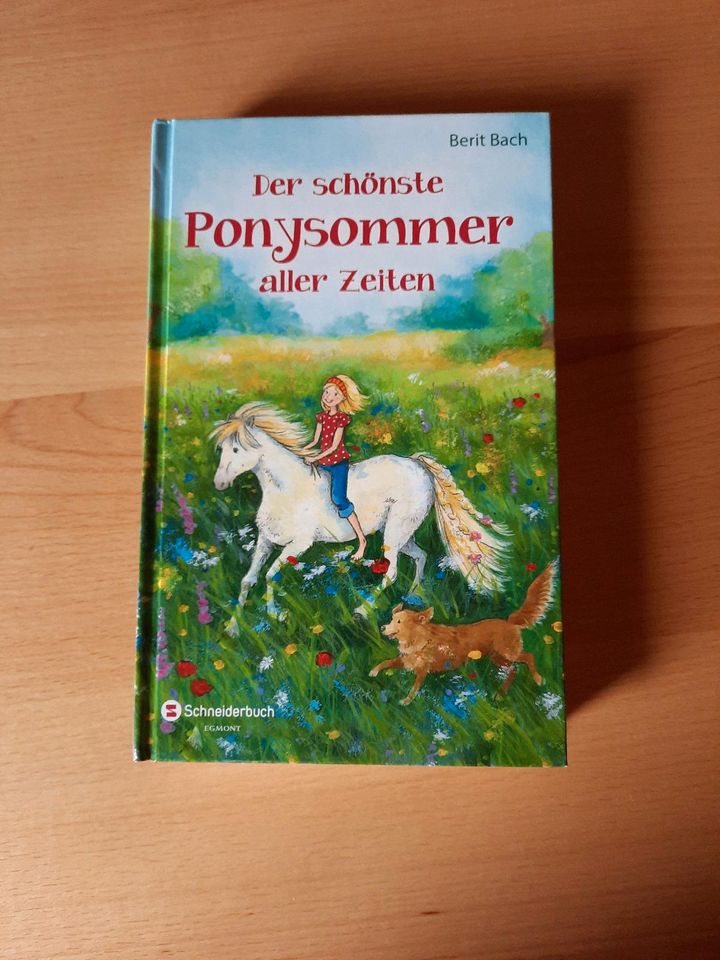 Buch Pferdebuch - Der schönste Ponysommer aller Zeiten in Cham