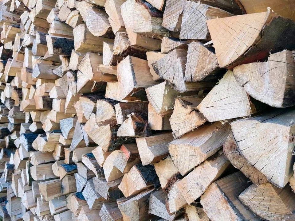 Trockenes Brennholz zu verkaufen, Buche/Eiche in Raummetern in Wabern