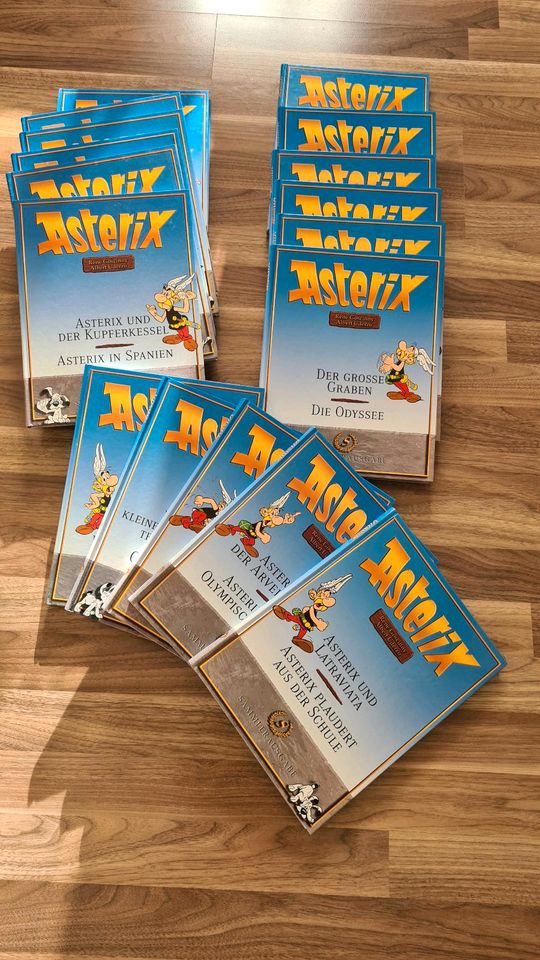 Asterix Sammeledition Buch Comics Bände Hardcover in Möglingen 