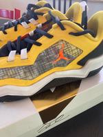 Jordan Nike Air Jordan 44 one take 4 Nordrhein-Westfalen - Elsdorf Vorschau