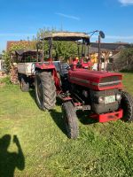 Massey Ferguson 135 / Traktor/ Kleintraktor/Anhänger Hansestadt Demmin - Stavenhagen Vorschau