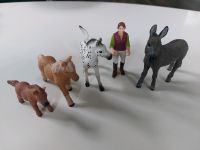 Schleich Pferde, Fohlen, Esel und Figur Berlin - Treptow Vorschau