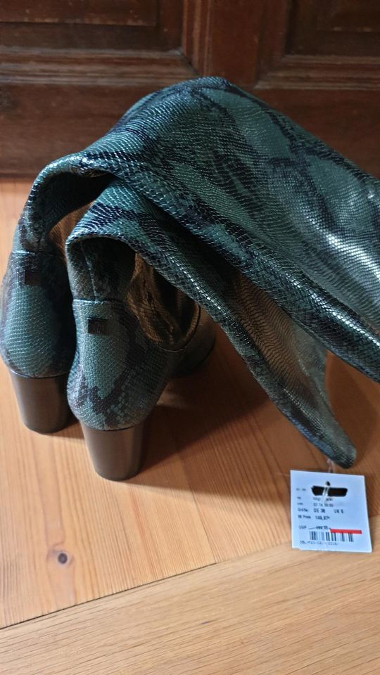 Damenstiefel von Högl, Größe 38, schwarz/grüne Reptilienoptik, Cr in Kitzingen