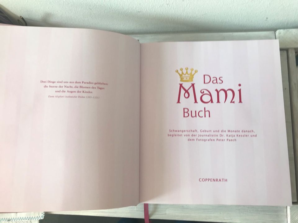 Das Mamibuch, Katja Kessler, schwanger, Geburt, Mama, Baby in Hamburg