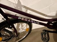 Damen Fahrrad der Marke Pegasus schwarz Schleswig-Holstein - Ahrensburg Vorschau