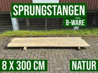 Sprungstange Hindernisstangen Hindernis Holz - 8 x 300 - B-Ware Nordrhein-Westfalen - Lennestadt Vorschau