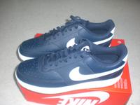 NIKE COURT Vision Lo! Gr.46 Neu! Original!inkl Karton!blau eh 80€ Hessen - Babenhausen Vorschau