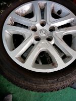 Opel Astra K Corsa E Winterreifen auf Stahl 205/55R16 Hessen - Rüsselsheim Vorschau