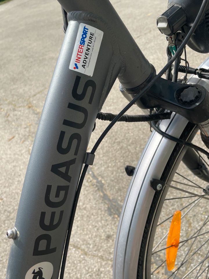 Cityrad Aluminium - Pegasus Solero light in Dotternhausen