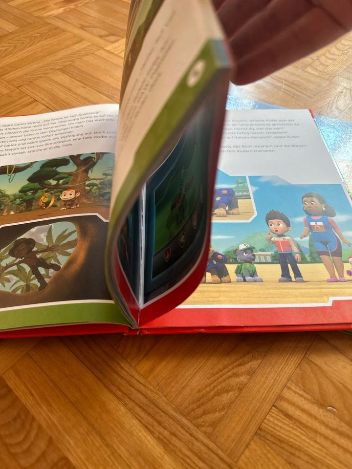 Paw Patrol / Biene Maja / Straßengeschichten Bücher in Donzdorf