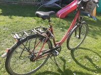 Damen Fahrrad Falter 28 Zoll FC 40 plus tiefer Einstieg rot Nordrhein-Westfalen - Unna Vorschau