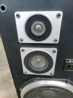Loudspeaker System Lautsprecher Hitachi HS-430 Hessen - Gießen Vorschau