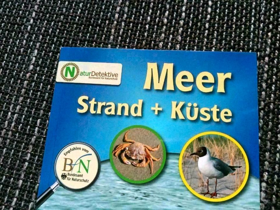 Natur Detektive Kinder Bibliothek Bücher Tiere Meer Wald ua BtBj in Neudenau 