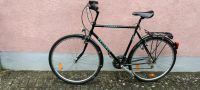 Fahrrad Peugeot Rheinland-Pfalz - Konz Vorschau