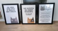 Bilder Poster mit Rahmen DIN A4 Katze Baden-Württemberg - Sindelfingen Vorschau