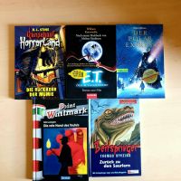 Paket Buch Jugend Freizeit Grusel ET Brezina Polar Express Stine Sachsen - Hoyerswerda Vorschau