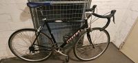 Stevens R-P-R 2 Racer Rennrad Shimano 105 58cm Wandsbek - Hamburg Rahlstedt Vorschau