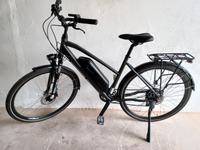 E-Bike, Prophete, 200 km Sachsen - Belgern Vorschau