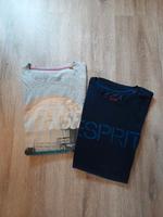 T Shirt, Shirt, Esprit, Gr. L Dresden - Klotzsche Vorschau