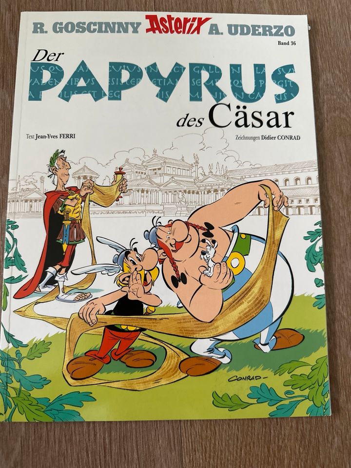 Asterix Comic in Bonn