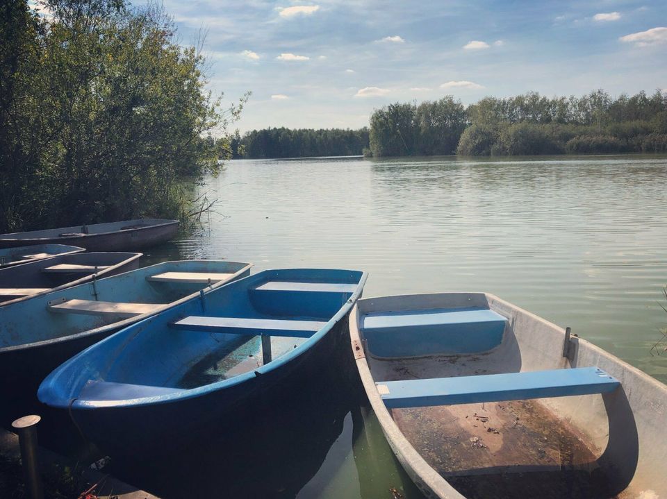 Ferienwohnung Waldklause, Geierswalder See, Lausitzer Seenland in Elsterheide