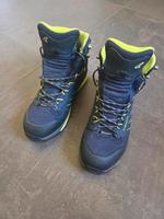 Wanderschuh Lowa Trek Evo GTX MID Dresden - Pieschen Vorschau