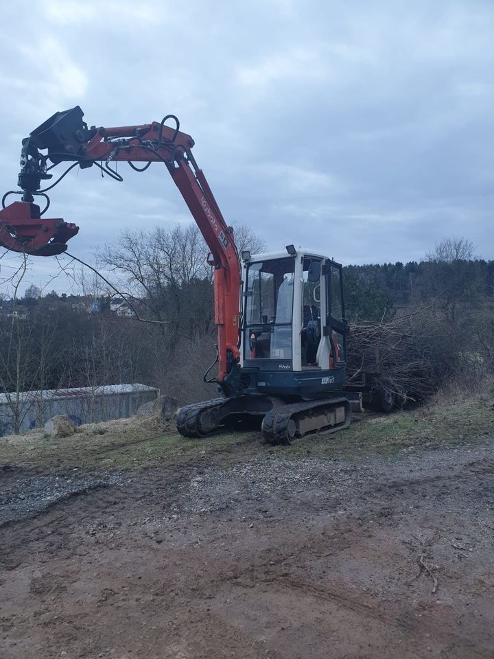 Baumfällung Rodung Heckenpflege in Auerbach in der Oberpfalz