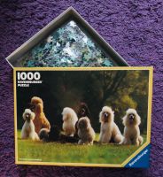 Ravensburger Pudel-Gruppe 1000 Teile Puzzle Thüringen - Riethnordhausen Vorschau