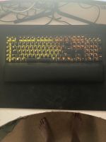 Razer Blackwidow V4 Bayern - Aschaffenburg Vorschau